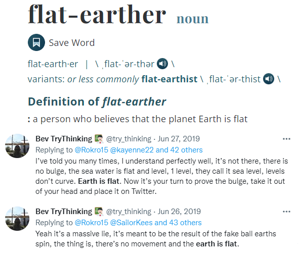 File:Bev is a flat earther definition 2019-06-26.png