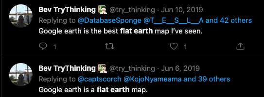 File:Bev is a flat earther 2019-06-06.png