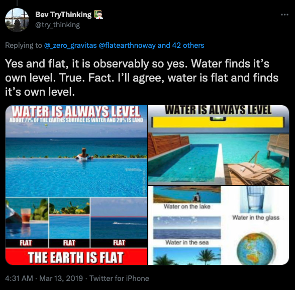 File:Bev is a flat earther 2019-03-13.png