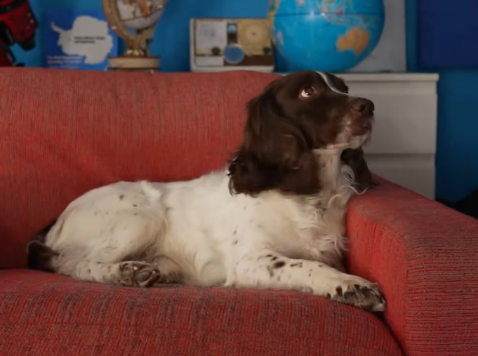 File:Rusty gis me sleep time, out.png