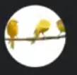 100%