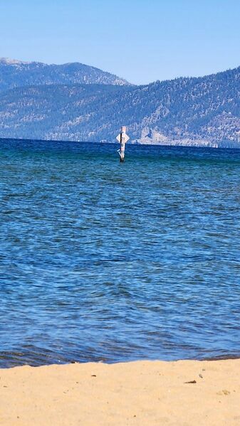 File:Tahoe 2024-09 image-1.jpg