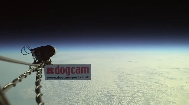 File:Dogcam01.png