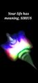 Thumbnail for version as of 23:31, 1 December 2025