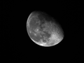 Thumbnail for version as of 21:45, 19 December 2024