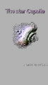 Thumbnail for version as of 22:28, 2 December 2025