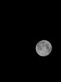 Thumbnail for version as of 07:18, 16 December 2024