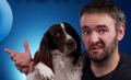 Thumbnail for version as of 17:26, 6 October 2026